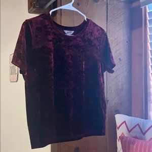 Velvet Crop Top